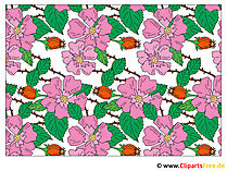 Blumenbilder Cliparts