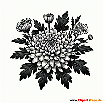 Chrysantheme Clipart zum Thema Blumen
