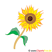 Clip Art Sonnen-Blume kostenlos