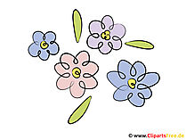 Clipart flores