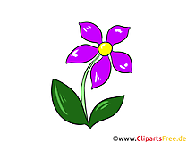 Clipart, Illustration, Bild Wiesen-Margerite