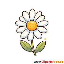 Clipart mit Gänseblümchen