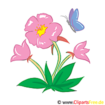 Eibisch Bild, Clip Art, Grafik, Illustration kostenlos