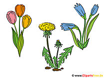 Feldblumen Bilder - Cliparts