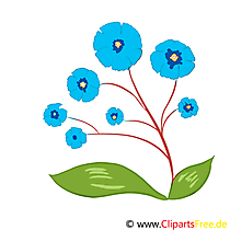 Flockenblume Bild, Clip Art, Grafik, Illustration kostenlos