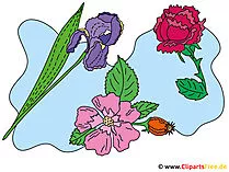 Flowers Cliparts