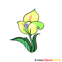 Gelbe Blume Bild-Clipart kostenlos