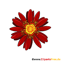 Gerbera Blume Clipart gezeichnet vom Foto kostenlos