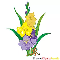 Hibiskus Bild, Clip Art, Grafik, Illustration kostenlos