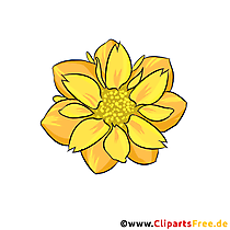 Hibiskus Blume Clipart, Illustration, Bild kostenlos