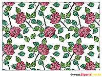 Hintegrundbild Rosen Blumen