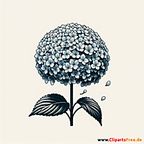 Hortensie Clipart zum Thema Blumen