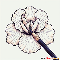 Iris Clipart zum Thema Blumen