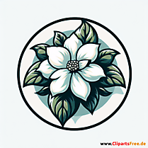 Jasmin Clipart zum Thema Blumen