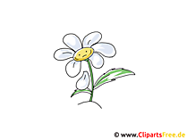 133 Blumen Cliparts Bilder Grafiken Kostenlos Gif Png Jpg