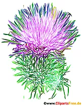 Klette Blume Bild, Illustration - Bilder für Arbeitsblätter