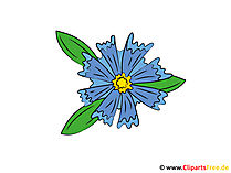 Kornblume Bild-Clipart