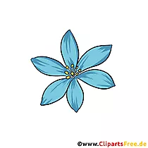 Kornblume Bild, Clipart kostenlos