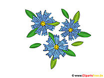 Kornblumen Clipart-Bilder