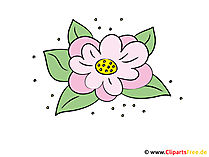 Lilie Bild - Clipart