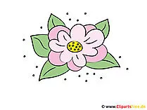 Lilie Bild - Clipart