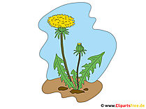 Loewenzahn Bild-Clipart