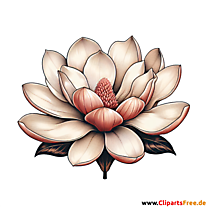Magnolie Clipart zum Thema Blumen
