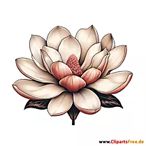 Magnolie Clipart zum Thema Blumen