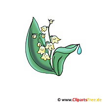 Lilies of the valley picture - Flowers Pictures and graphics for free