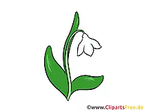 Maiglöckchen Clipart, Illustration, Bild kostenlos