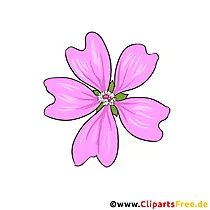 Malve (Malva) Blume Clipart gezeichnet vom Foto kostenlos