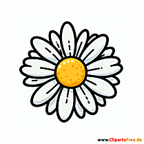 Margerite Clipart zum Thema Blumen
