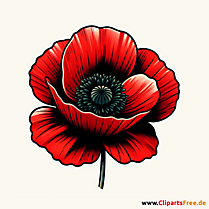 Mohnblume Clipart zum Thema Blumen