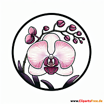 Orchidee Clipart zum Thema Blumen