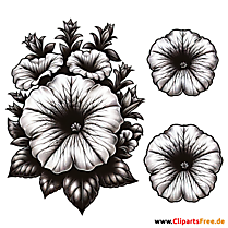 Petunie Clipart zum Thema Blumen