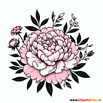 Pfingstrose Clipart zum Thema Blumen