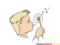 Pusteblume Clipart kostenlos