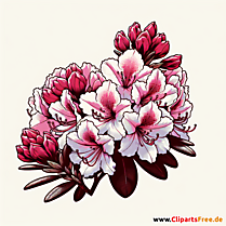 Rhododendron Clipart zum Thema Blumen