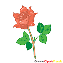 Rose Bild, Clip Art, Grafik, Illustration kostenlos