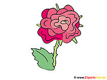 Rose Clipart