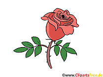 Rose Clipart