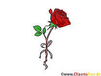 Rose Clipart free