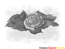 Rose Grafiken und Cliparts in Schwarz-Weiß