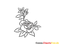 Rose schwarz-weiß Grafik, Bild, Clipart