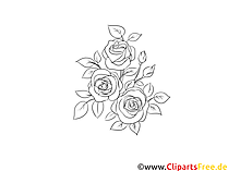 Rosen zum Ausmalen Clipart