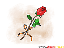 Schöne rote Rose Clipart, Bild, Illustration, Grafik