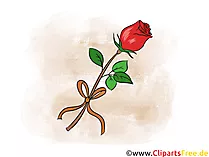 Schöne rote Rose Clipart, Bild, Illustration, Grafik