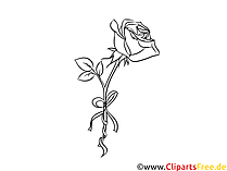 Schwarz-weiß Rose Zeichnung, Bild, Clipart, Grafik