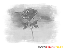 Schwarz-weißes Bild mit Rose