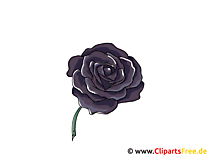 Schwarze Rose Clipart